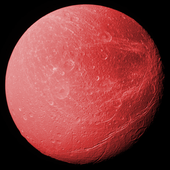 reddione 的头像