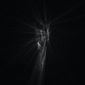 diamonds are forever [Explicit]