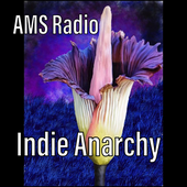 AMS_Tidal_Waves 的头像