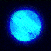 Avatar for The_Observatory