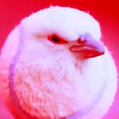 Avatar for compl1catted