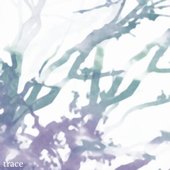 trace cover valetical