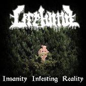 Insanity Infesting Reality