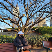 iaamhayato 的头像