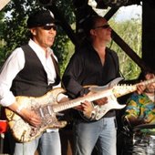 The Alligators 3