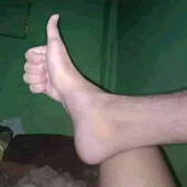 yoyanon 的头像