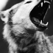 Avatar for Chevrille
