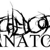 The Wretched Corpse Anatomy logo
