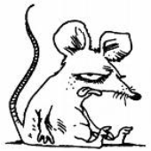 furiousrat için avatar