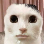 Gwbss 的头像