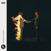 Metro Boomin, Heroes and Villains, Metro Boomin Album Premium