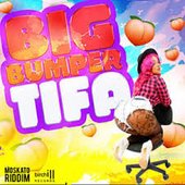 Big Bumper - Single