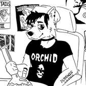 Avatar for quaoz
