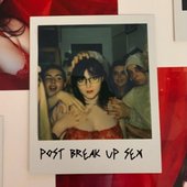 Post Break Up Sex