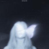 dreaming awake