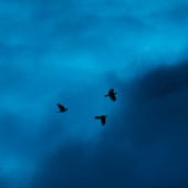 Screenshot 2025-09-23 135226.png