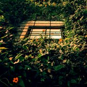 Garden Fade