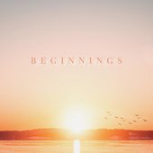 Beginnings