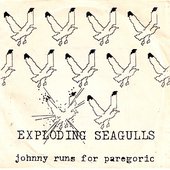Johnny Runs For Paregoric
