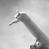 Avatar for crylol