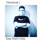 chem.j