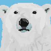 EightBitBEAR 的头像