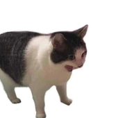 jmp__ 的头像