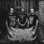 Dissonant Seepage logo