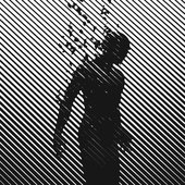603379_459982900700954_1128686101_n.jpg