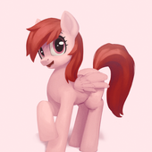 large (29).png