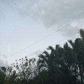 IMG_1419.JPG