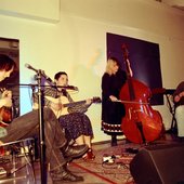 a horse named friday at studio fuzion, kitchener