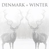 denmark + winter