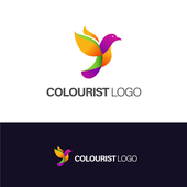Avatar for colourist1122