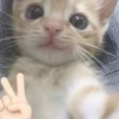 imyoursz 的头像