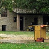 IMG_1538-1