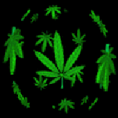 Avatar for kgfowler