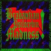 Brabantian Psilocybin Madness [Explicit]