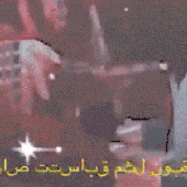 gif gif