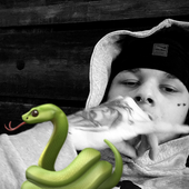 Avatar for packrunna