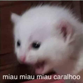 Serevena 的头像
