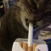 ik_myartsucks 的头像
