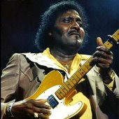 Albert Collins_3.jpg