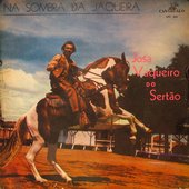 Na sombra da jaqueira