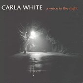 A Voice In The Night