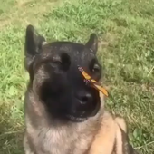 certifiedsadboi 的头像