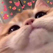 roseyjeongguk 的头像