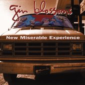 ginblossoms-new-miserable-experience.jpg