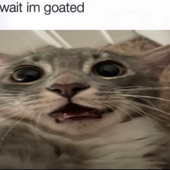Lgsoj 的头像