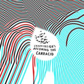 becoming the camracid